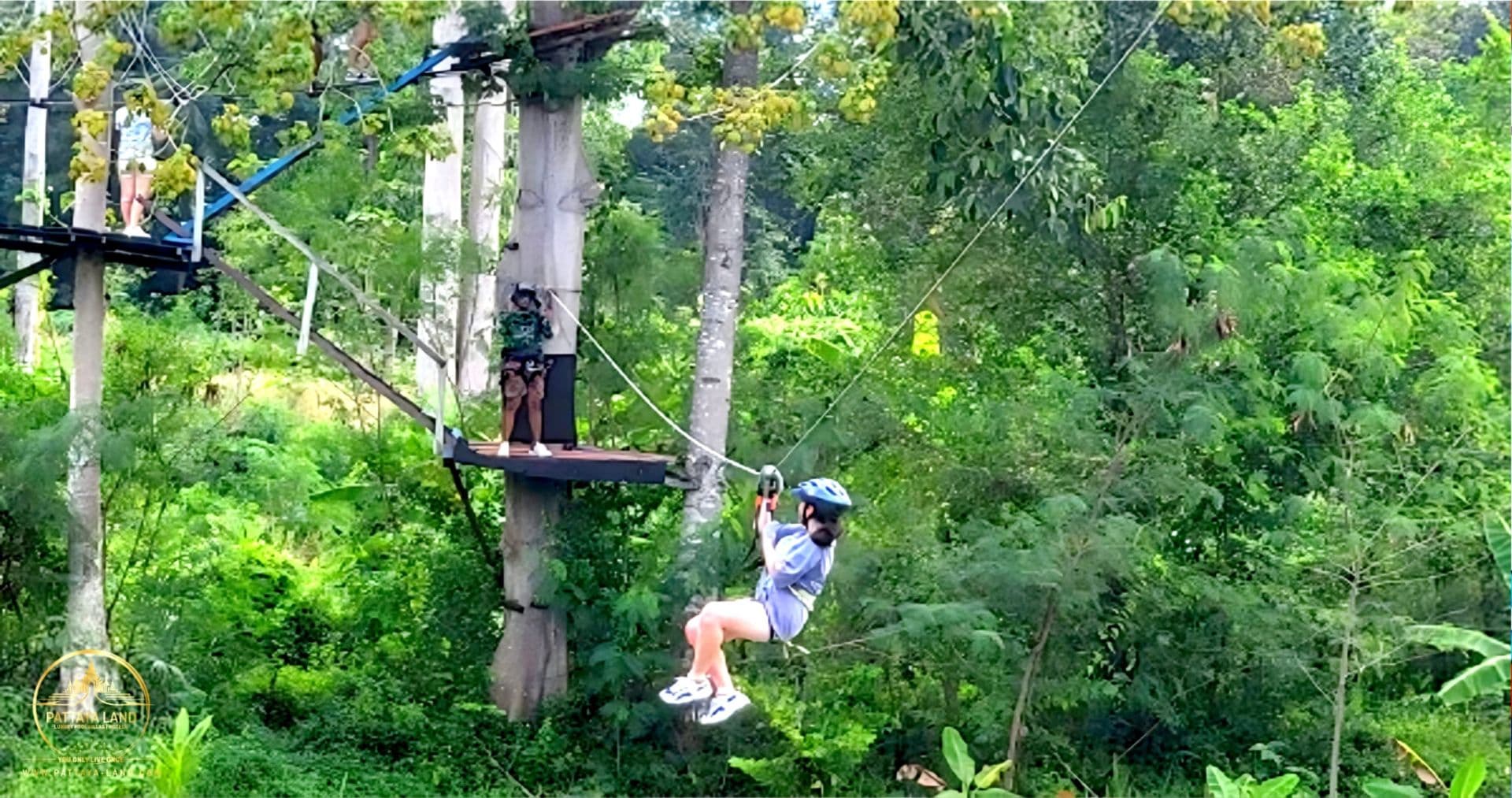Tarzan Adventure Zipline