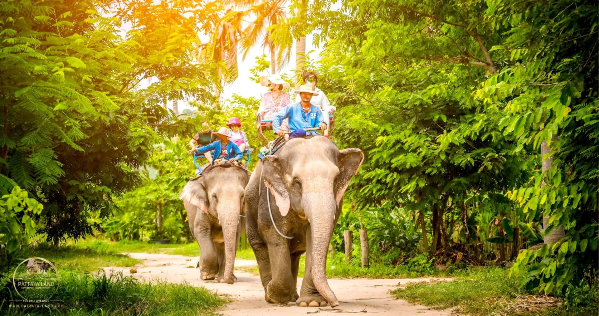 Changthai Thappraya Safari