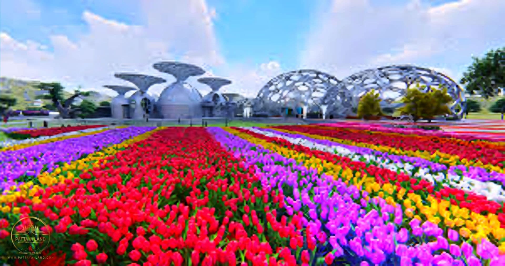 Flower Land