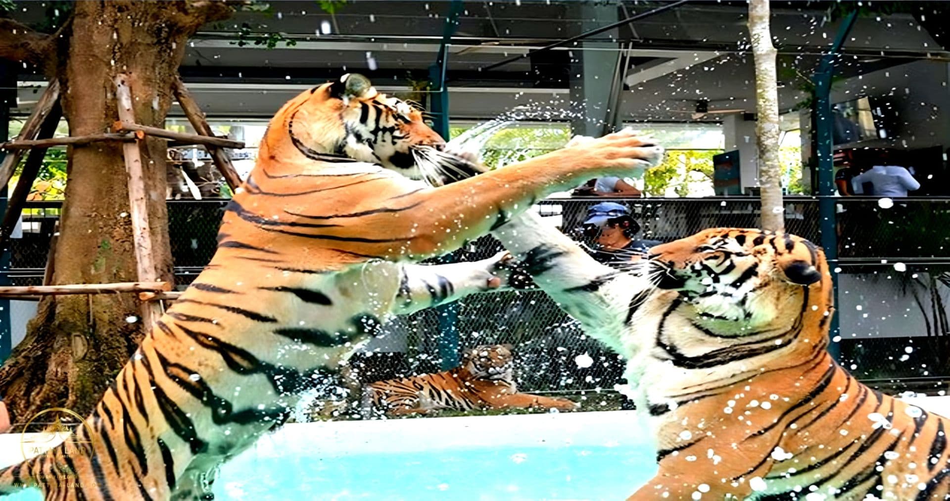 Tiger Park